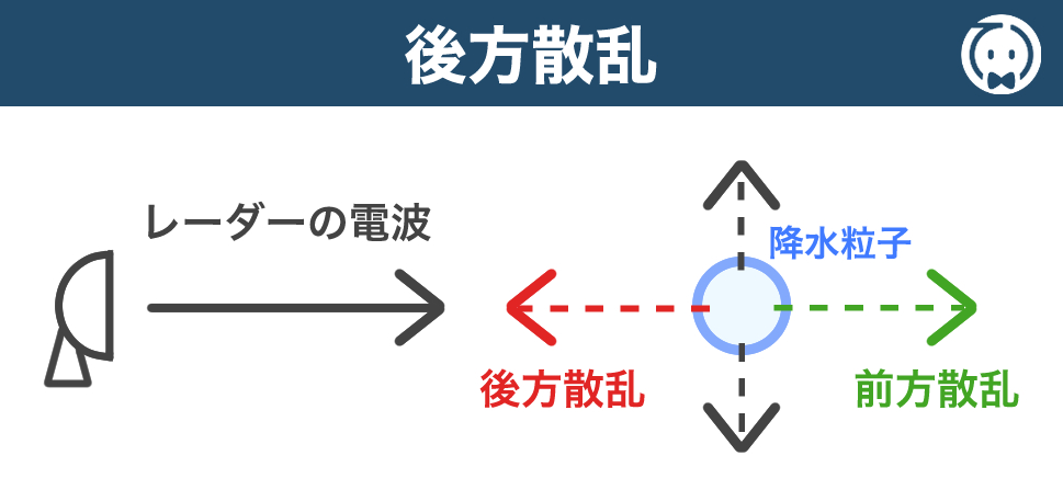 後方散乱