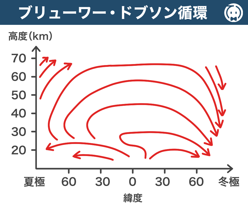 ブリューワー・ドブソン循環