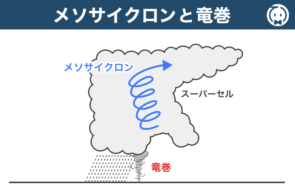 メソサイクロンと竜巻