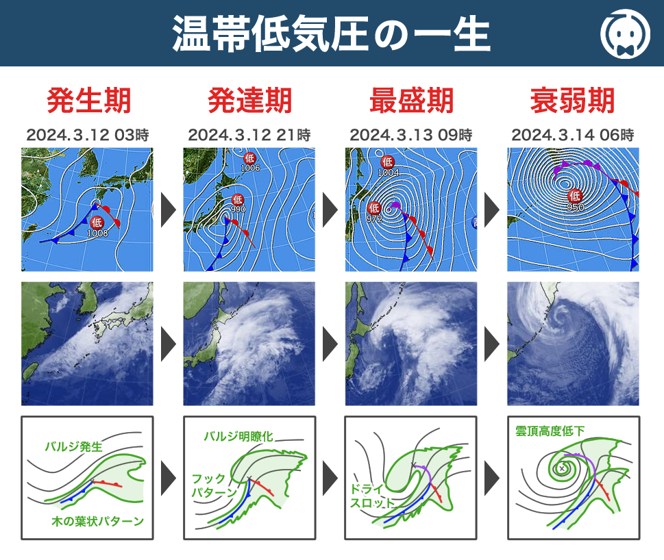 温帯低気圧の一生