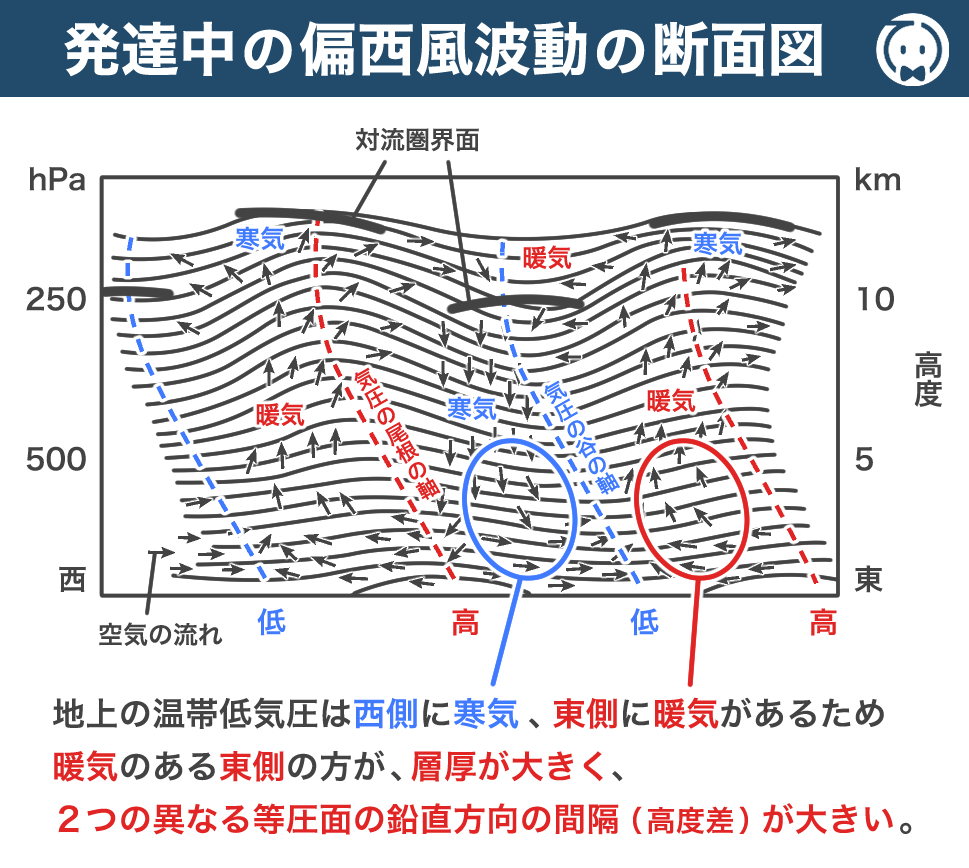 発達中の偏西風波動の断面図