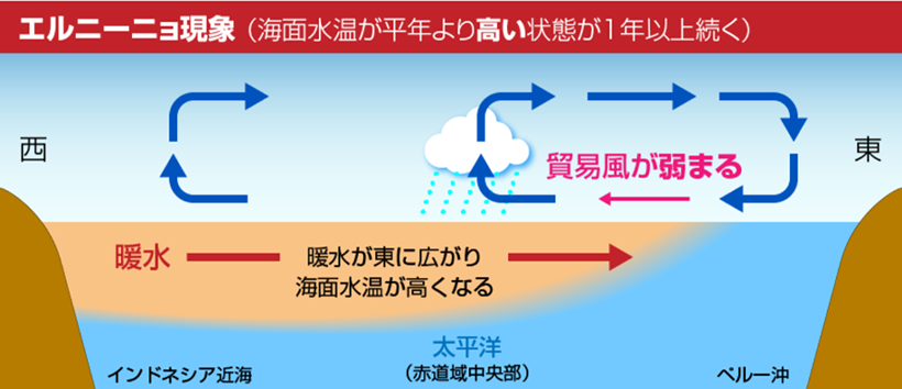 エルニーニョ現象