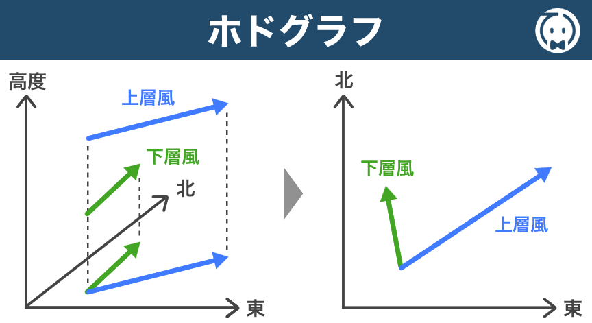 ホドグラフ