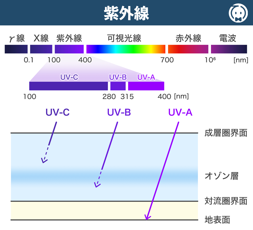 紫外線