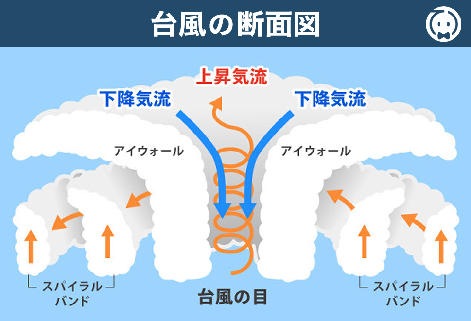 台風の断面図