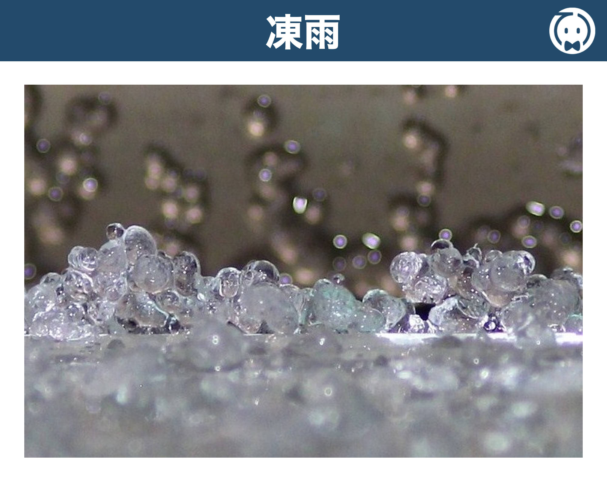 凍雨