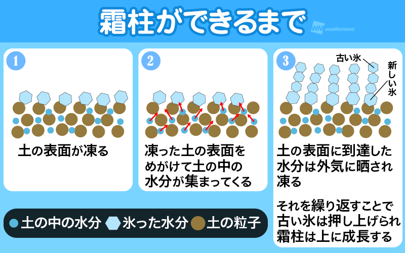 霜柱