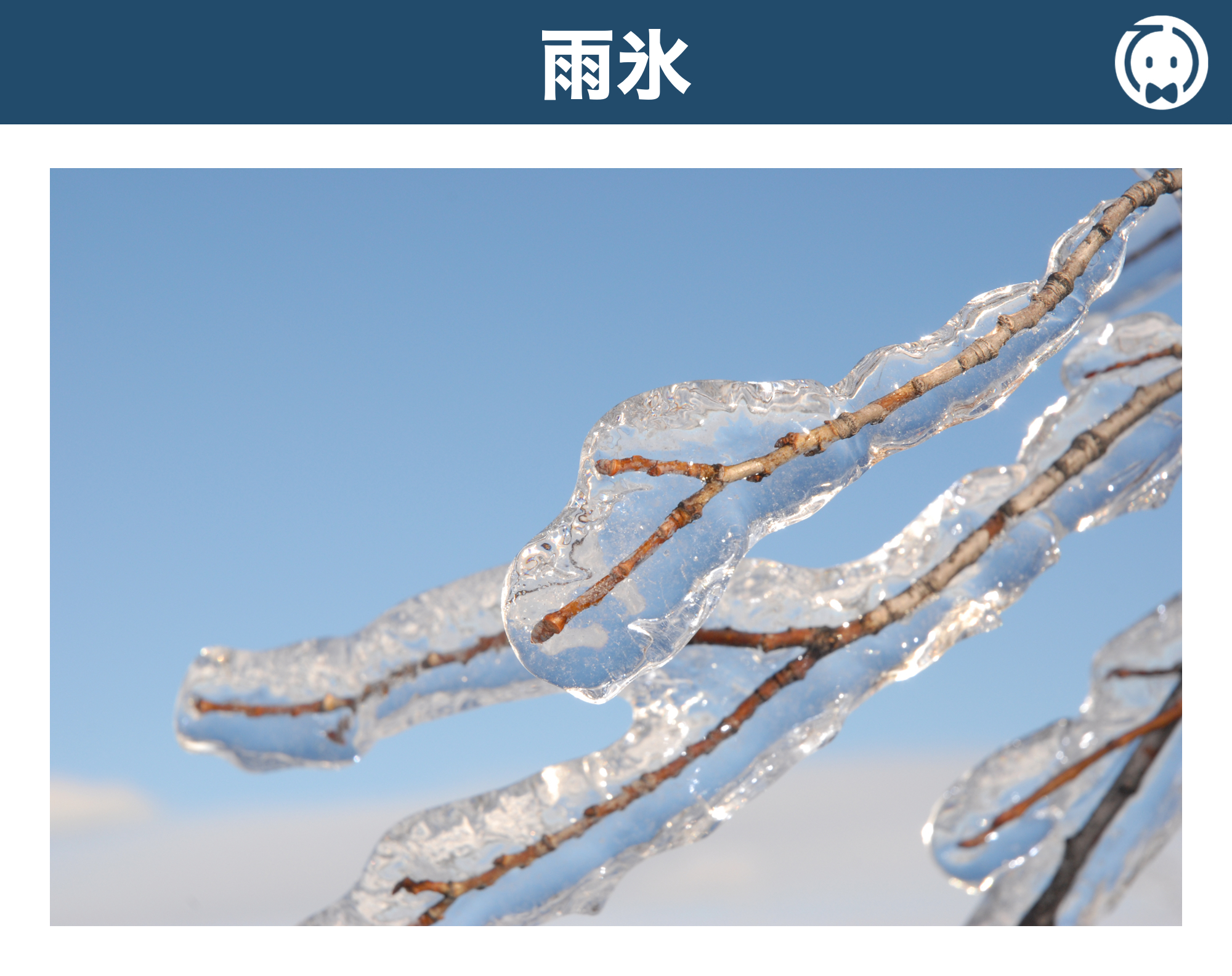 雨氷