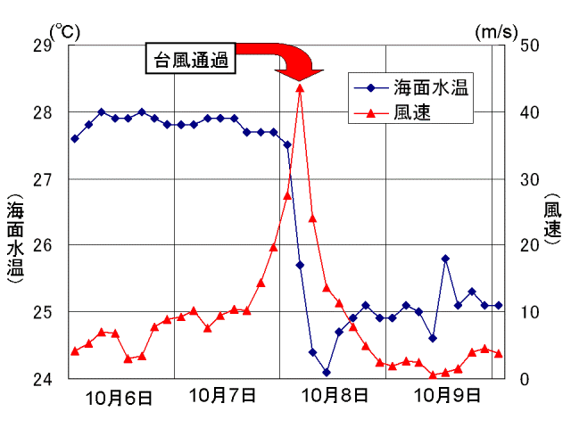 台風通過後の海面水温