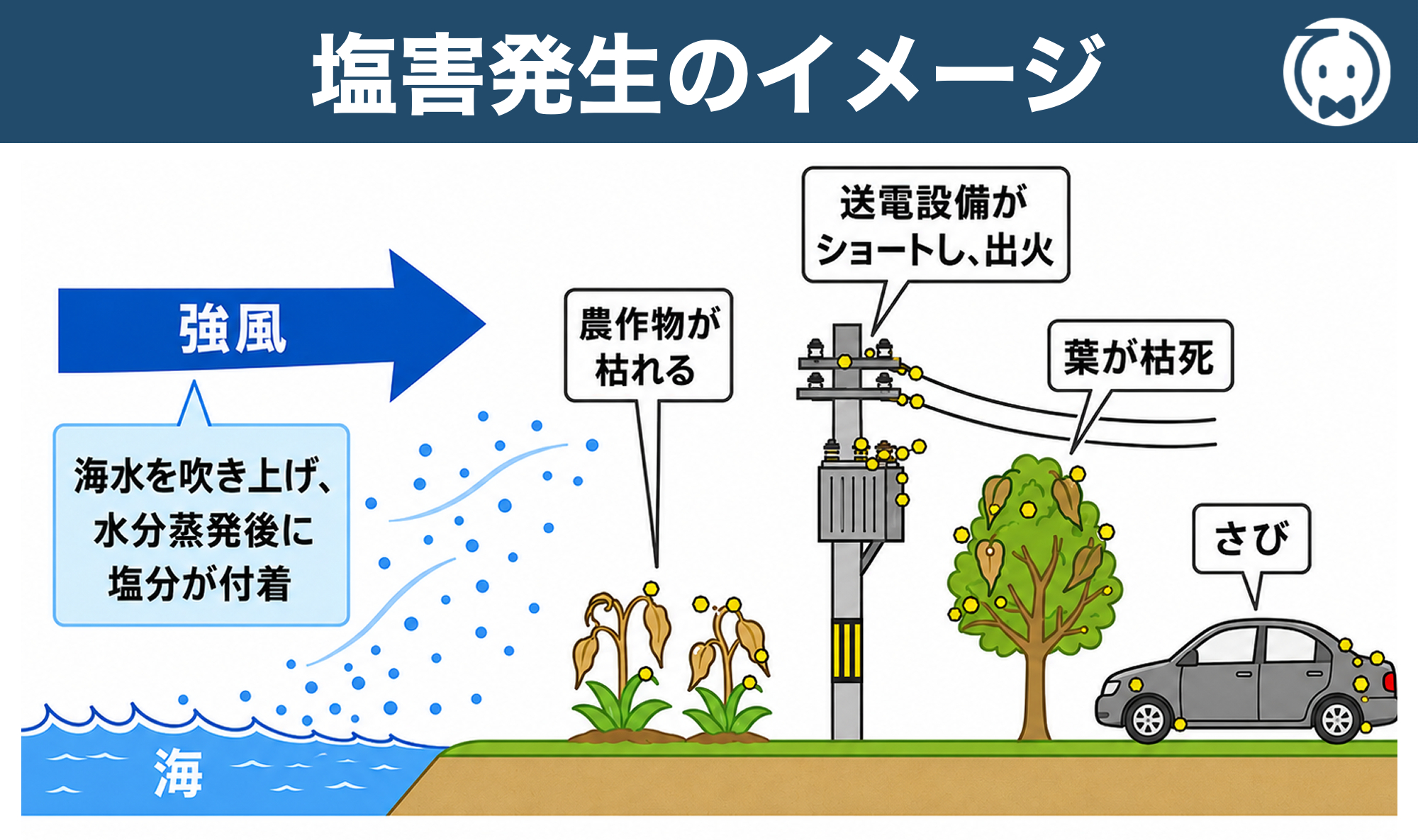 塩害発生のイメージ