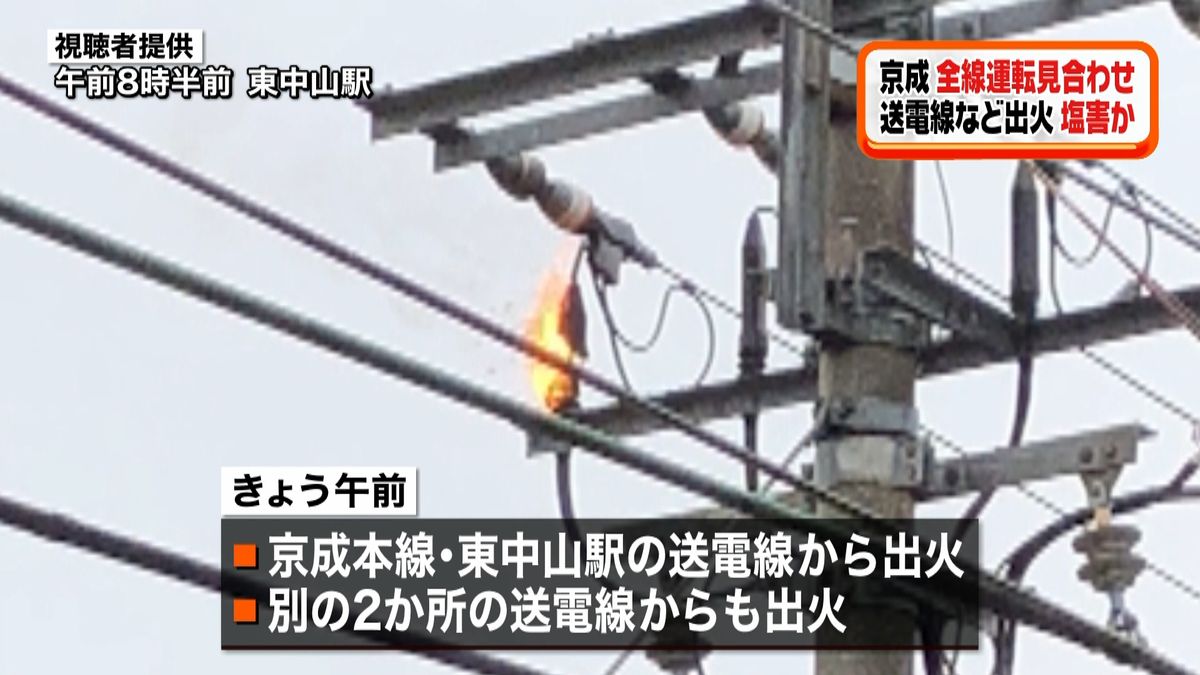 塩害_ニュース映像